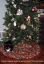 Birthdays, Christmas and all
